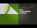 Onze afvalinzameling verandert! - 22 februari 2022 - Peel en Maas TV Venray