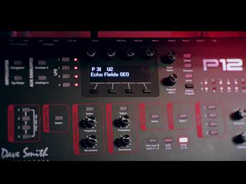 Prophet 12 - Custom Patches 26 to 50 - geosynths.com