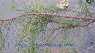 Healing Waters, Michelle Tumes, Listen, with Lyrics