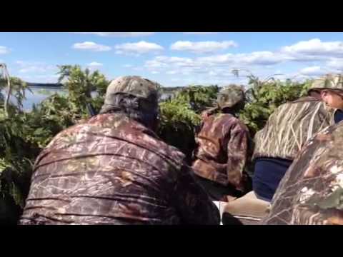 Waswanipi goose break( these goose hunters shooting blk duc
