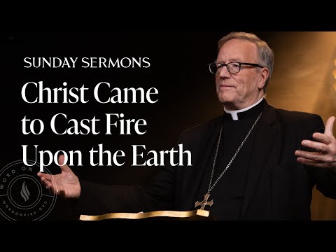 Christ Came to Cast Fire Upon the Earth - Bishop Barron's Sunday Sermon