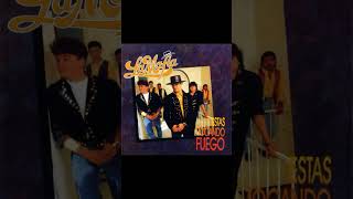 la mafia como me duele amor #musica