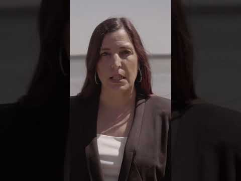 Agent Video