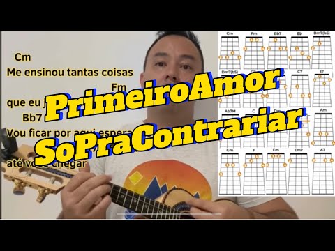 Primeiro Amor - Só Pra Contrariar