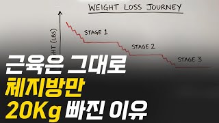 아르기닌 수액, 효과·횟수·주의할 점까지｜비만전문인의가 직접 설명합니다