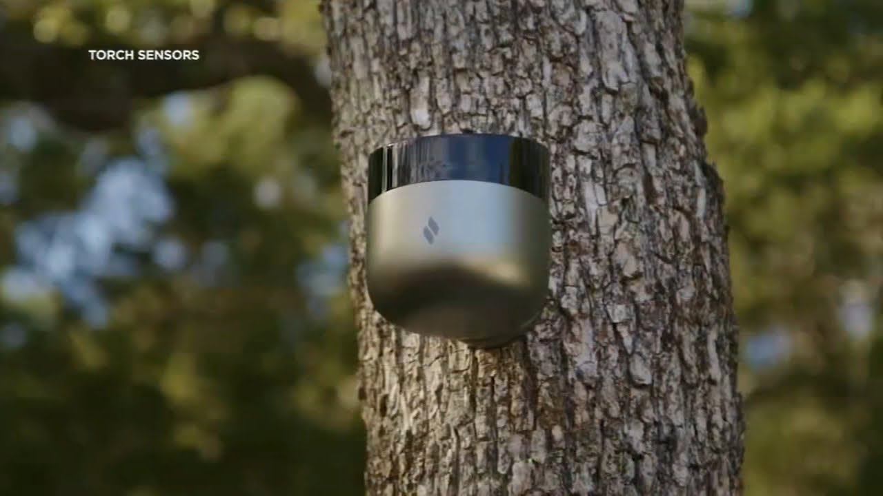 Could AI help detect wildfires? Here's the technology developers say is a game-changer