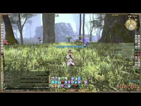 Final Fantasy XIV  A Realm Reborn - White Mage Lv35 Quest - Only You Can Prevent Forest Ire