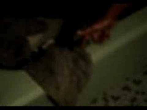 BET''S Shackz (Cribs)