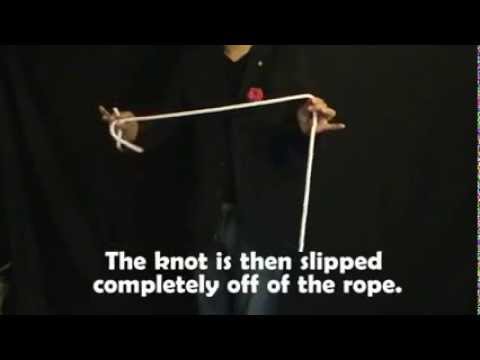 Four Nightmares DX by TENYO  SEO MAGIC USA1