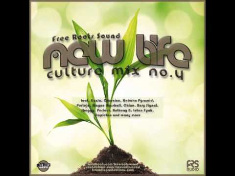 Free Roots Sound - New Life - CultureMixVol4 [2014]