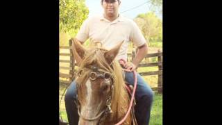 Olhos Negros - Michel Teló