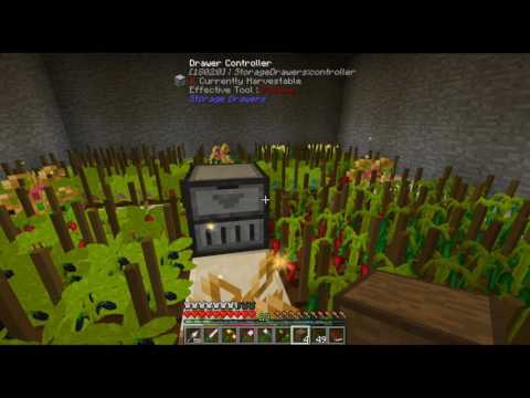 Regrowth Episode 15: The flower equivalent of a fois gras farm