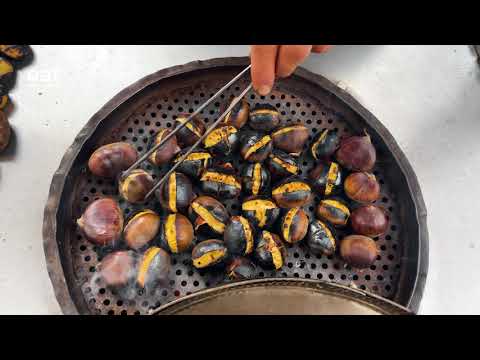 Beliebtestes türkisches Street Food: KASTANIE
