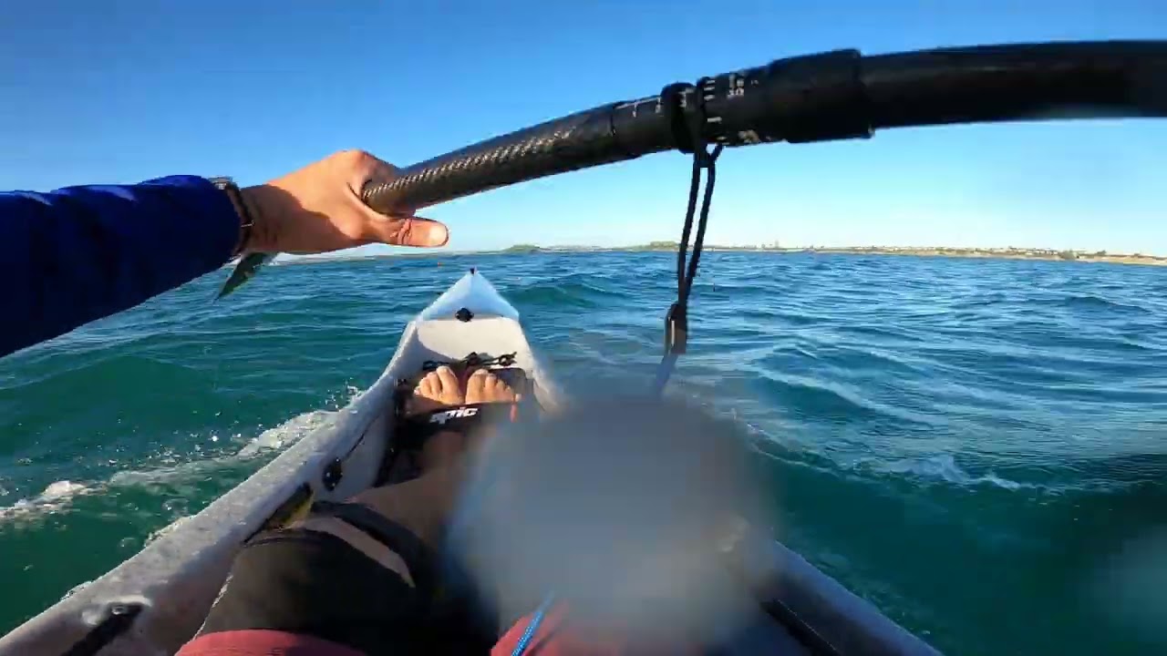 Fun kayak trip from Rangitoto Beacon to Okahu Bay 2/2