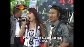 Download lagu KOPLO SAGITA 2012  ^_^  IKHLAS _ ENY SAGITA mp3