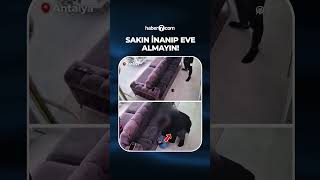 Sakın inanıp evinize almayın!