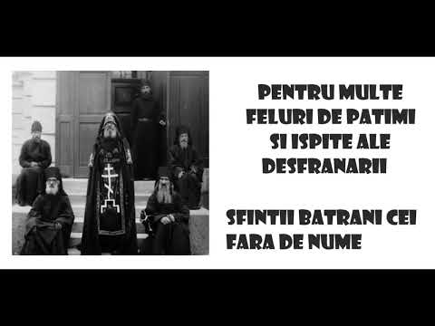 Pentru multe feluri de patimi si ispite ale desfranarii - Sfintii Batrani cei fara de nume