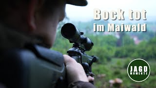 Verregnete Bockjagd auf Pirsch und Ansitz | Webserie #11