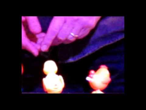 2012 "EX TEMPORE plus"