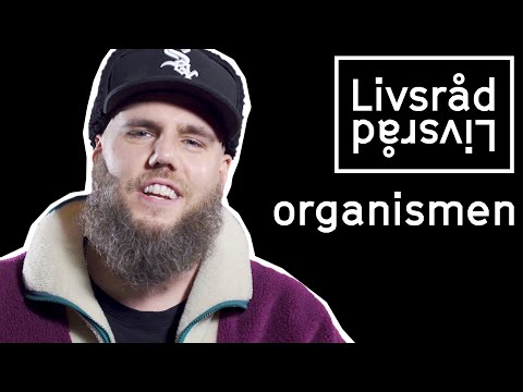 SPRING! - livsråd med organismen
