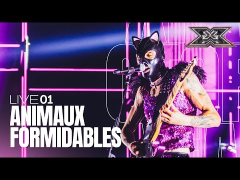 Il rock in maschera degli Animaux Formidables fa vibrare il palco | X Factor 2023 LIVE 1