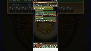 パズドラ実況      ヨルズに挑戦！！
