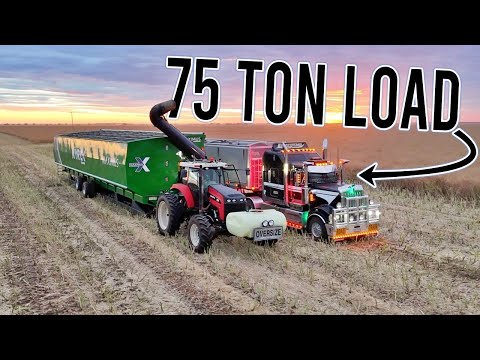 Getting the Tons Out!  | Harvest 2025 Ep 4 | Vlog 432