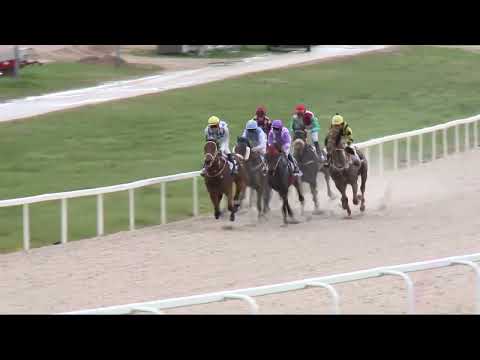 2022.04.24. 06. futam - AKLI-PUSZTAI HENDIKEP (III.o.) (szintetikus pálya)