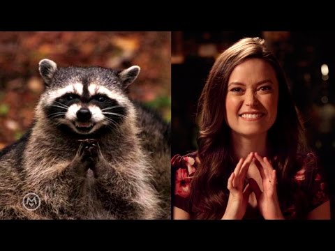 Summer Glau Imitates Popular Animal Memes - Speakeasy