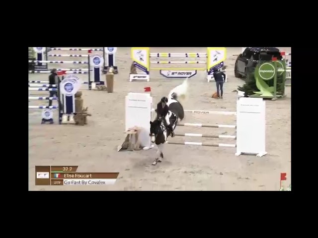 TOP CHEVAL JUNIOR