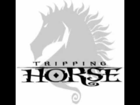 Tripping Horse - Mayday