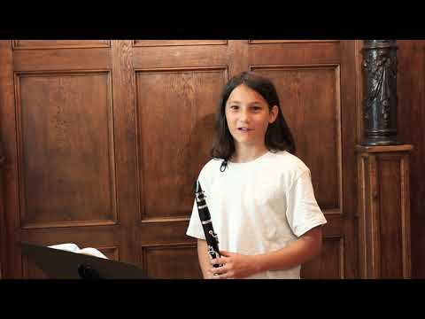 Klarinette | Unterricht in der Musik- und Kunstschule St. Pölten