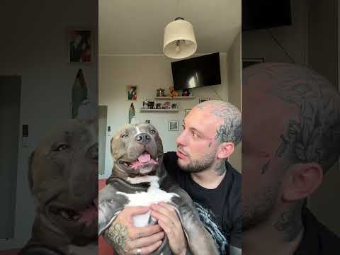 My Love story 😍❤️🥹