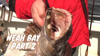 preview picture of video 'Neh Bay Ling Cod Part 2'