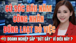 Download lagu Công Nhân Đồng Loạt Bỏ Việc Sau Tết 2026: Doanh Nghiệp Đứng Trước Nguy Cơ Đứt Gãy mp3 Download lagu Công Nhân Đồng Loạt Bỏ Việc Sau Tết 2026: Doanh Nghiệp Đứng Trước Nguy Cơ Đứt Gãy mp3