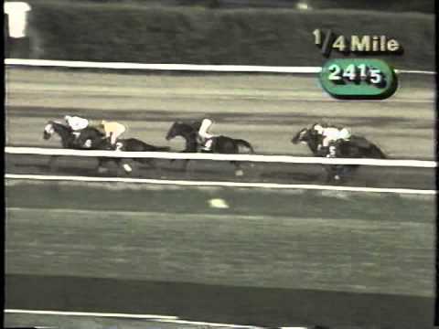 1988 Haskell S. -- Forty Niner