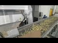 Color Sorting Machine