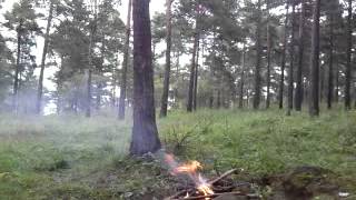 preview picture of video 'Тулунский взрыв в лесу'