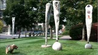 preview picture of video 'Lucky appreciating Mercer Island Sculptures Along I 90'