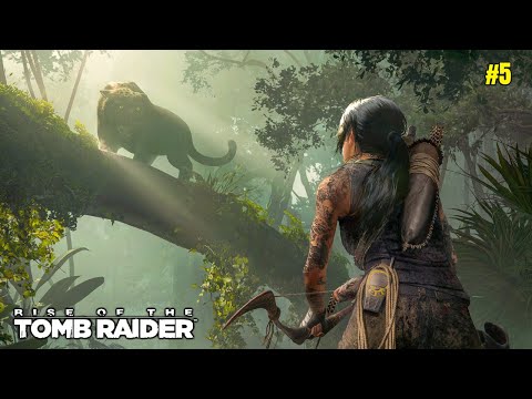 Fighting Wild Tigers | Rise Of The Tomb Raider Gameplay #5