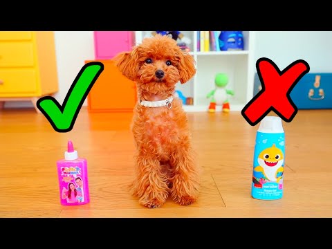 SOFÌ E LUÌ vs IL CUCCIOLO TOY DI BARBONCINO SCEGLIE INGREDIENTI DELLO SLIME CHALLENGE | Me contro Te