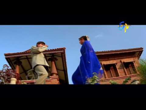 Neeli Neeli Full Video Song | Aaduthu Paaduthu | Srikanth | Gayatri Jayaraman | Suneel | ETV Cinema