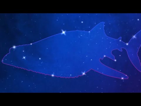 NEW SHARK CONSTELLATION 🌌 PART 3 - Hungry Shark World