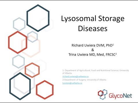 Lysosomal Storage Diseases
