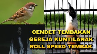 Download lagu Cendet suara gereja tarung sambung kunti gacor panjang keras powernya_ @sultanakbar mp3 Download lagu Cendet suara gereja tarung sambung kunti gacor panjang keras powernya_ @sultanakbar mp3