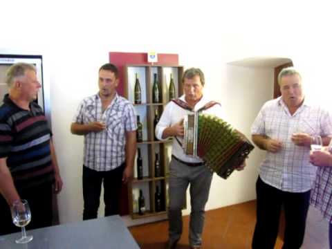 Oplotničani s Tinetom Lesjakom-Bo moj vnuk še pel slovenske pesmi (v živo)