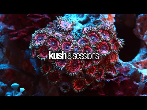 #010 Liquid Love (Liquid Drum & Bass Mix)