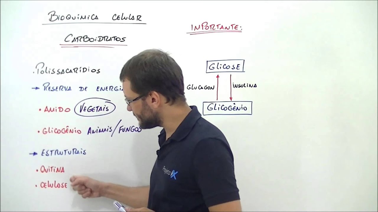 X da Questão - Biologia - Carboidratos Polissacarídeos