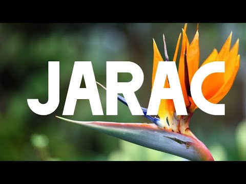 JARAC 👉 OČEKUJ NEOČEKIVANO I DESIĆE SE BRZINOM MUNJE TAROT HOROSKOP LJUBAV 