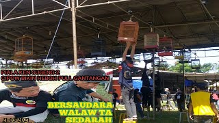 Download lagu Cipow bikin heboh di 🏆 Ken Sugeng Bekasi puLL gantangan mp3